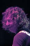 NIGHT RANGER 061