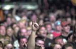 NIGHT RANGER 091