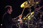 NIGHT RANGER 096