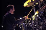 NIGHT RANGER 099