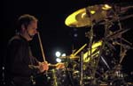 NIGHT RANGER 113
