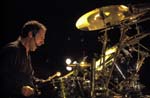 NIGHT RANGER 119