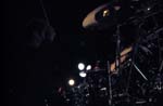 NIGHT RANGER 133