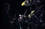 NIGHT RANGER 137