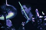 NIGHT RANGER 174