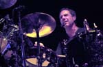 NIGHT RANGER 184
