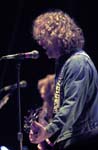 NIGHT RANGER 219