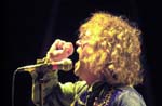 NIGHT RANGER 223
