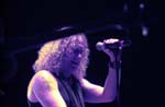 WARRANT 083