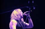 WARRANT 085