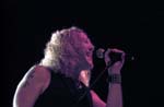 WARRANT 097